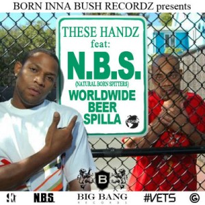 these handz cover 6